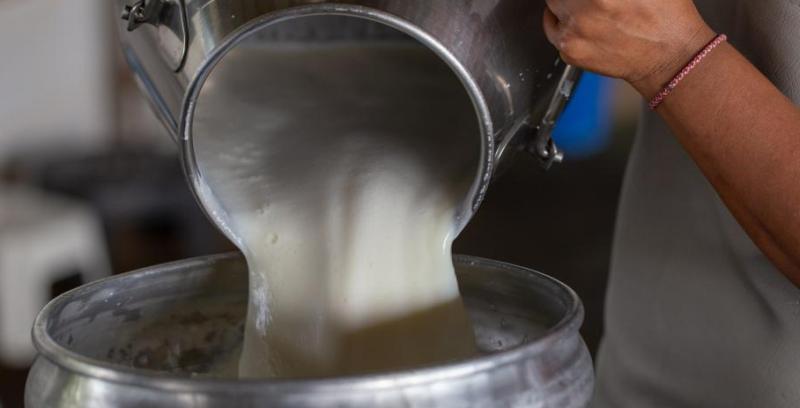 दुई वर्षभित्र दुध उत्पादनमा आत्मनिर्भर बन्छौ : मन्त्री अर्याल